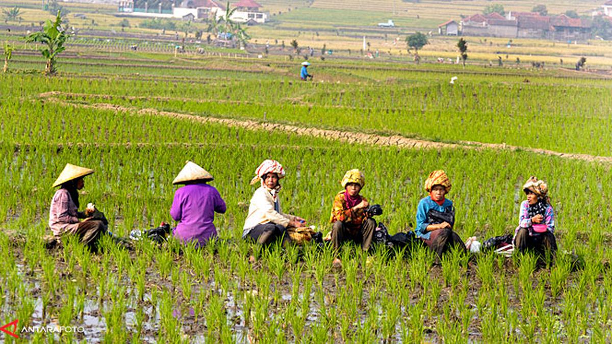 Bisnis Agribisnis
